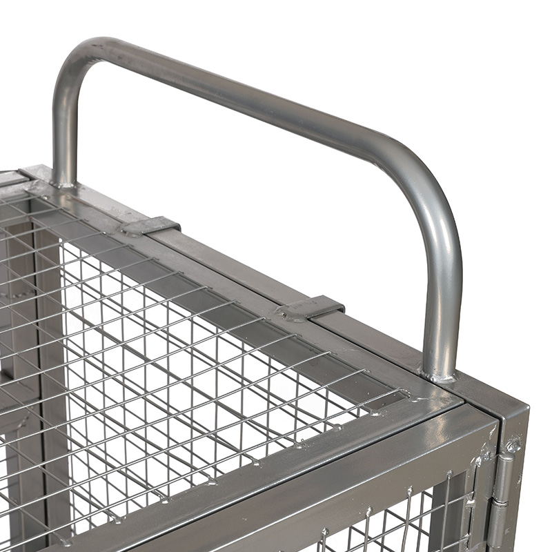 BT-Double Door Fence Stall Car na may takip